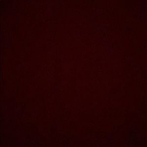 Meet your Posher, Mollie